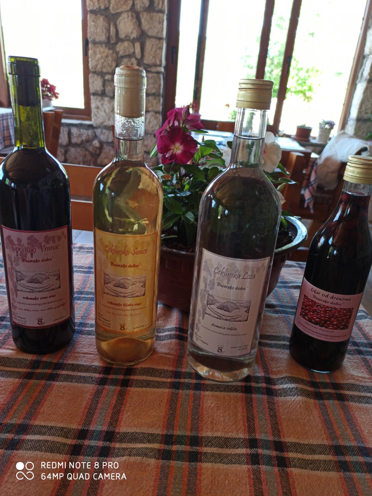 Domaca rakija - Domaća hrana